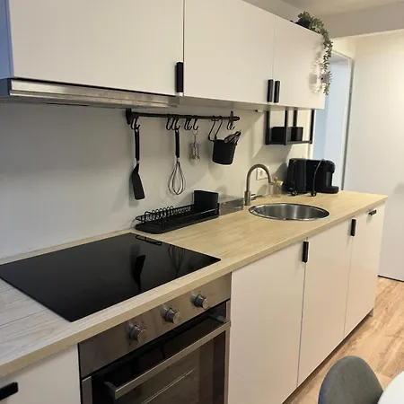 Apartment, Zentral 3 格拉茨
